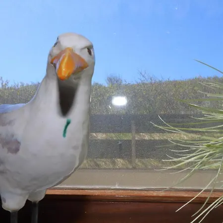 Apartamento Haus Alice - Widlak 34/6